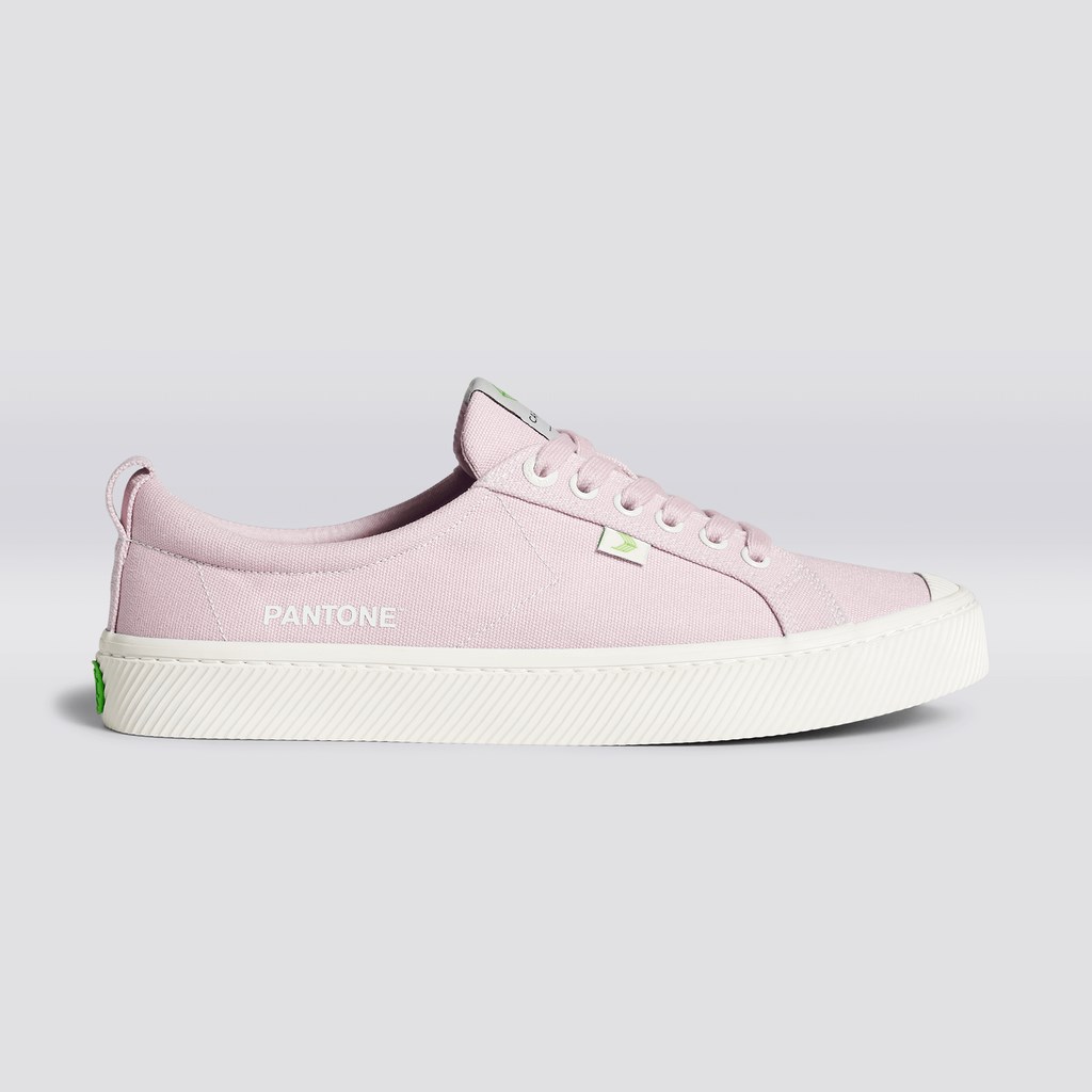 OCA LOW Cariuma Low Top Tela Pale Lilac Homme | UPC-9583409